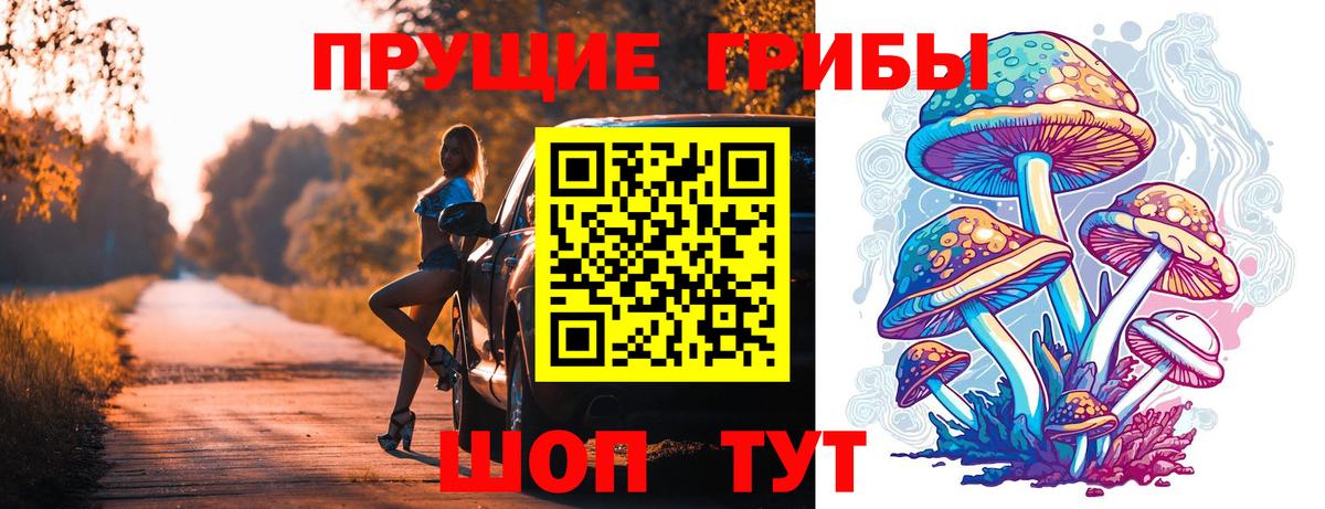 Псилоцибиновые грибы прущие грибы Орёл