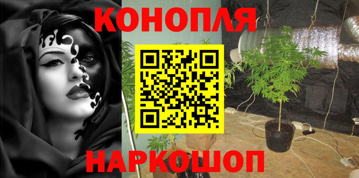 Шишки марихуана семена  МАРИХУАНА индика  Орёл  Каннабис тримм  Вход с VPN 